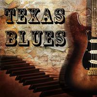 Texas Blues: The Best Blues Artists from Texas Like Lightnin' Hopkins, Albert Collins, Mance Lipscomb, Leadbelly, Johnny Winter, Big Mamma Thornton, Pee Wee Crayton, And Lil' Son Jackson