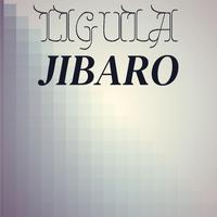 Ligula Jibaro