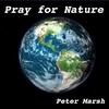 Peter Marsh - Pray for Nature