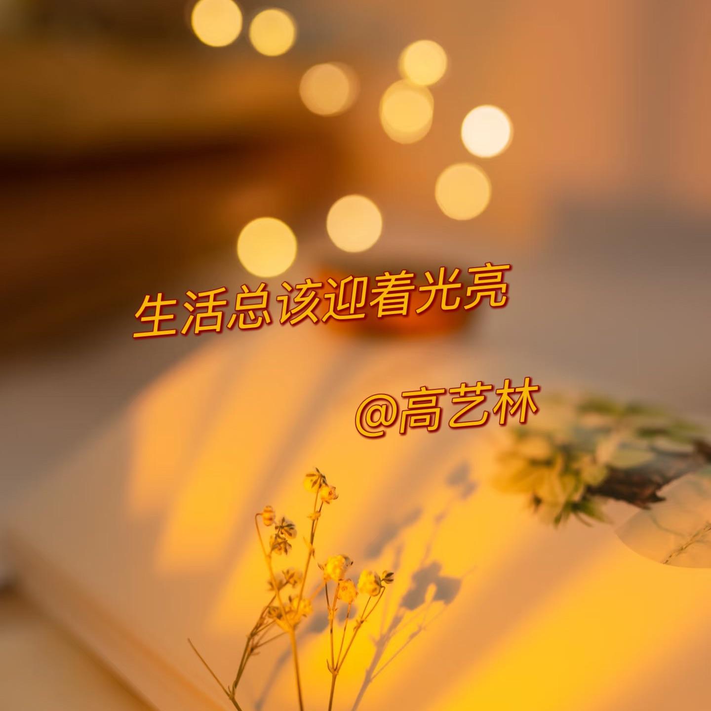 生活总该迎着光亮封面