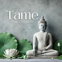 Tame Your Thoughts: Buddhist Wisdom for Mindful Living