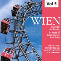 Wien - Traumstadt der Melodien, Vol. 5