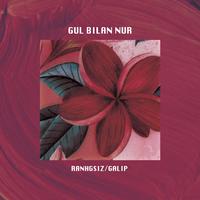 Gul bilan nur