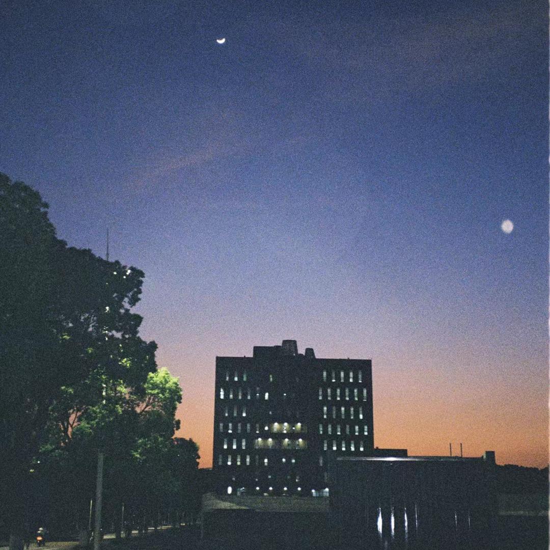 披星戴月地想你 - 五号怪兽封面