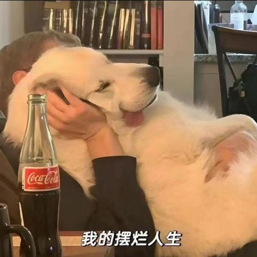 小时的童年 伴奏