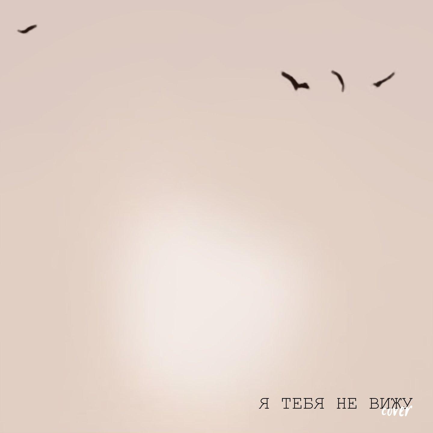 Я тебя не вижу (Cover)