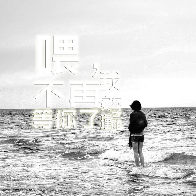 少一点天分 (DJ版)封面