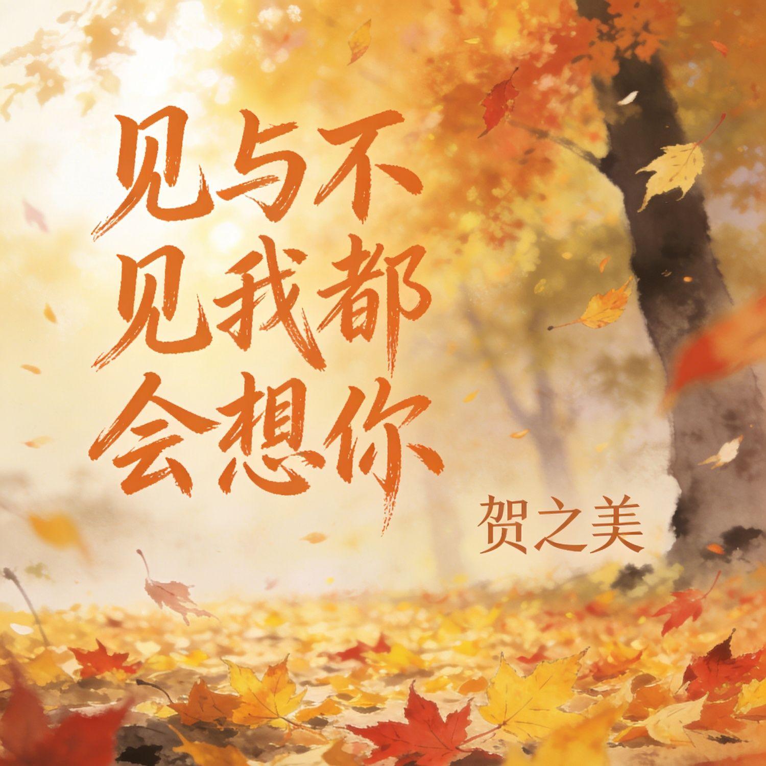 见与不见我都会想你封面