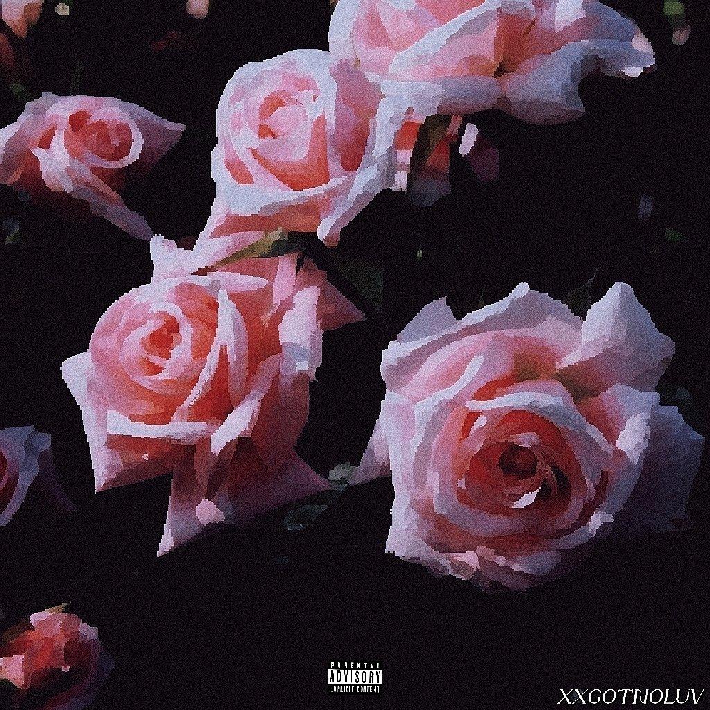 YKB Migg-傻婆娘（xxGotNoluv Remix）