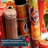 Peaceful Tribal Meditation Didgeridoo Symphony, Vol. 01