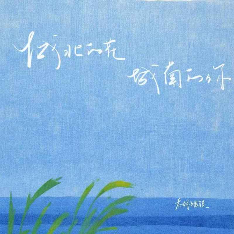 城北的花 城南的你封面
