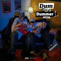 Dum and Dummer 1 : 