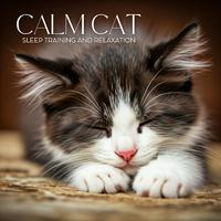 Calm Cat Sleep Training and Relaxation