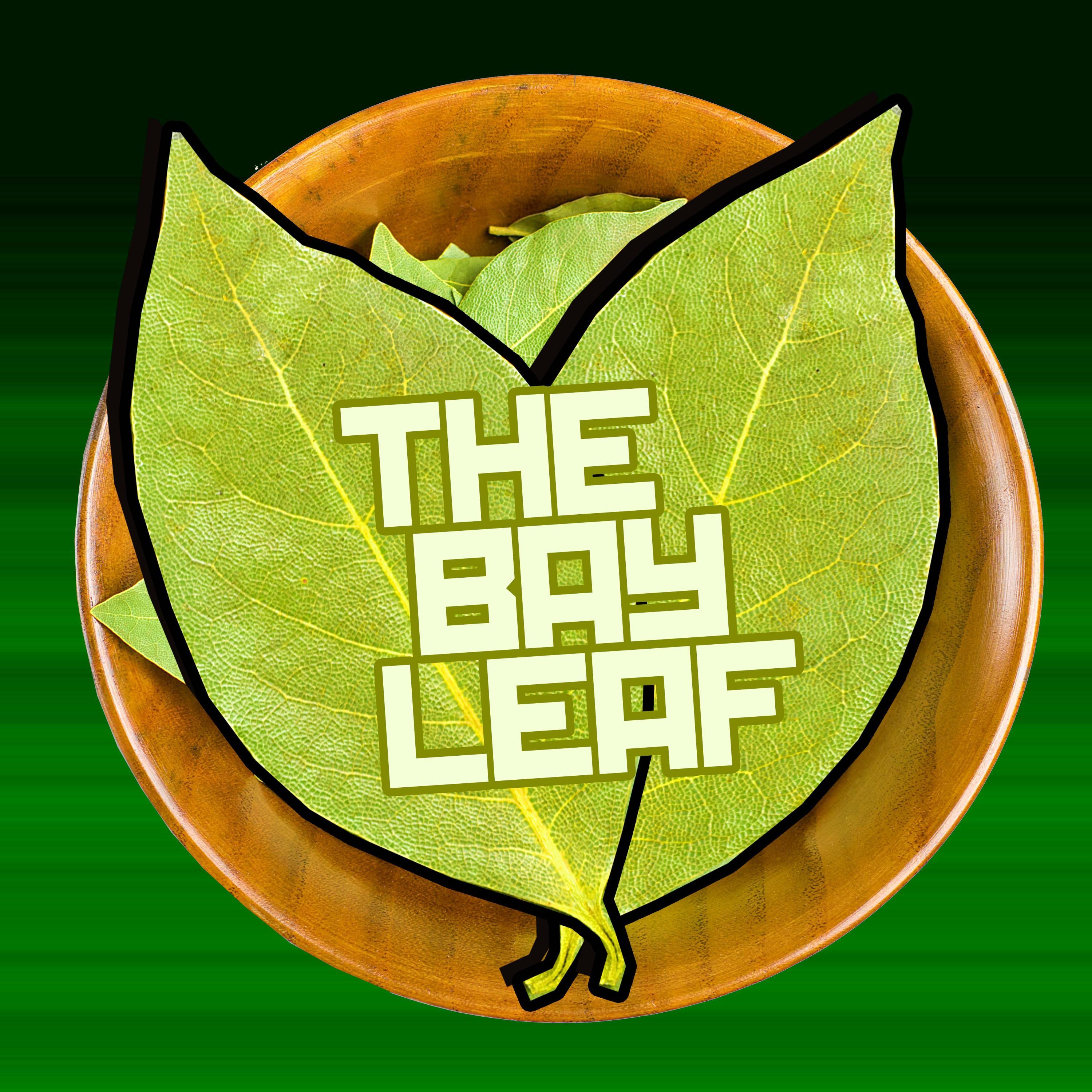 The Bay Leaf_Uamee_The Bay Leaf | 在线播放_The Bay Leaf歌词_The Bay Leaf下载 | 网易云音乐