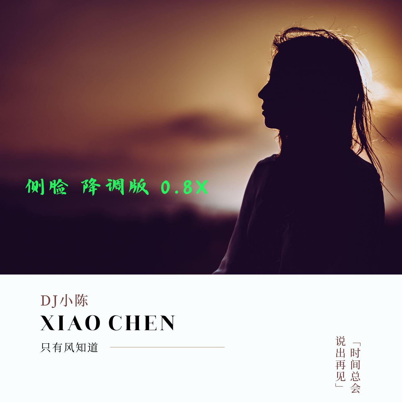 侧脸（降调版 0.8x）