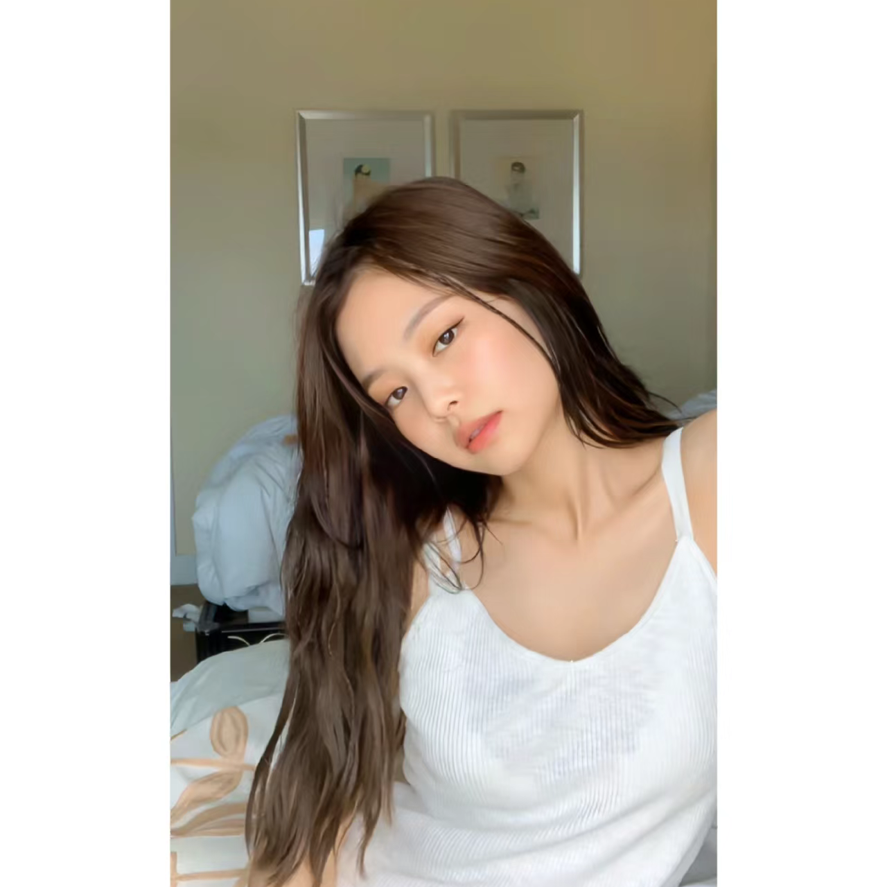 白山茶-女版封面