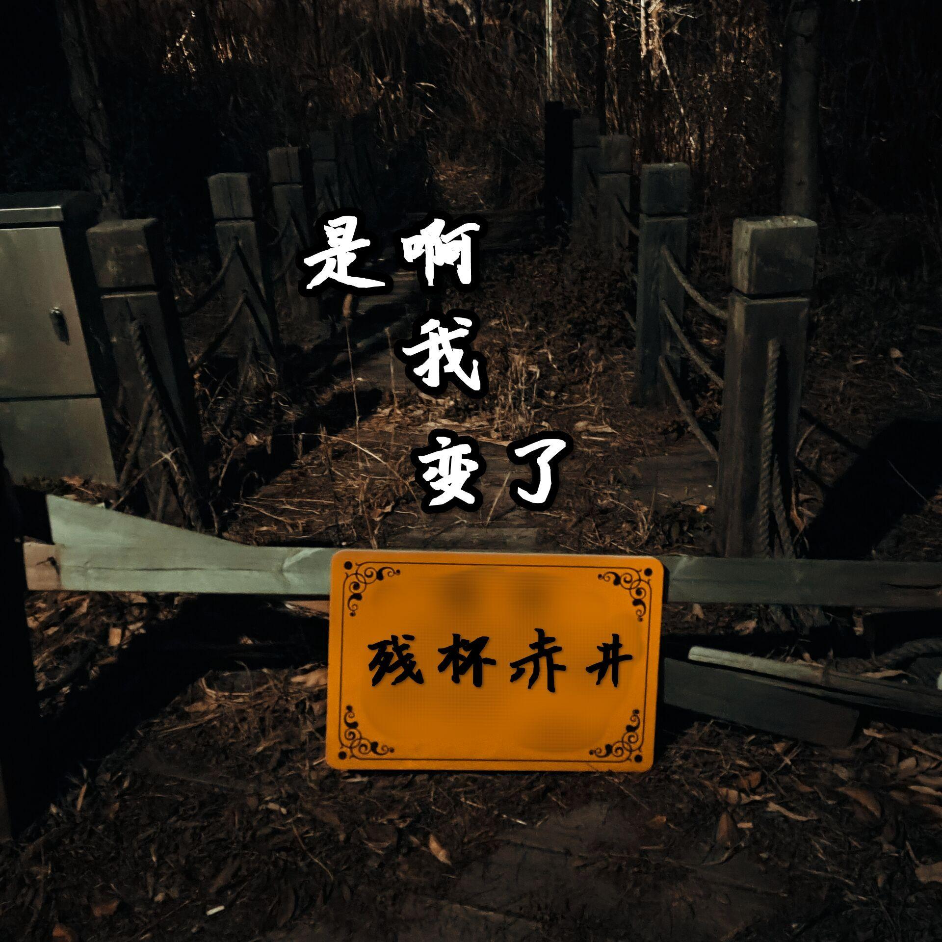 是啊我变了 - 残杯赤井封面