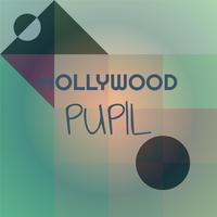 Hollywood Pupil