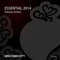 Essential 2014