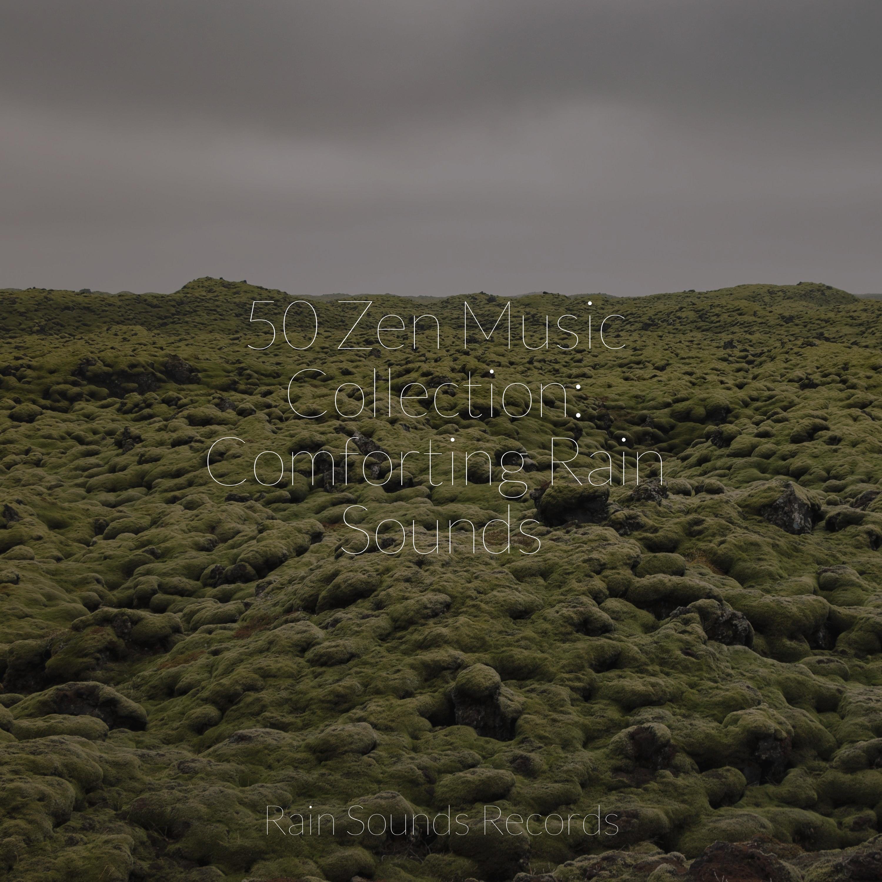 Melodic Dawn Chorus Lightning/Thunder and Rain Storm/Naturaleza