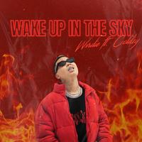 Wake Up In The Sky