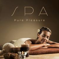 Spa Pure Pleasure: Calming Music BGM, Relaxing Sounds for SPA