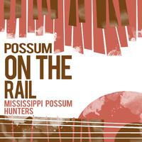 Possum on the Rail