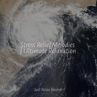 Stress Relief Melodies | Ultimate Relaxation