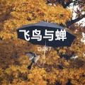 跳舞街 (DJ R7版)封面