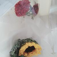 龍萠