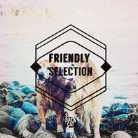 Friendly Selection, Vol. 16