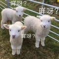 一对旧皮鞋 (DJ弹鼓版)封面