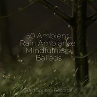 50 Ambient Rain Ambiance Mindfulness Ballads