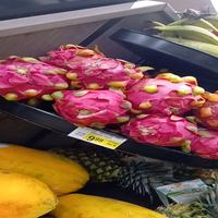 Dragon Fruit