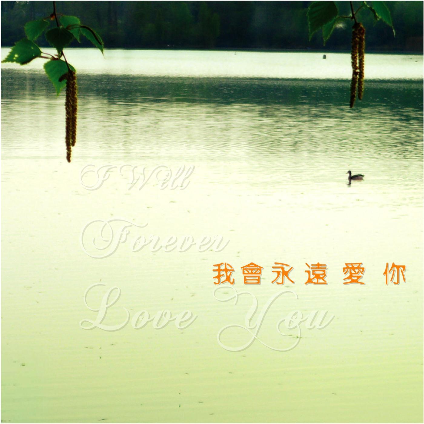愛之海 (The Ocean Of Love)封面