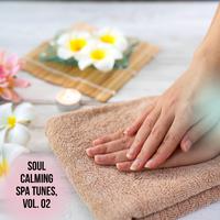 Soul Calming Spa Tunes, Vol. 02