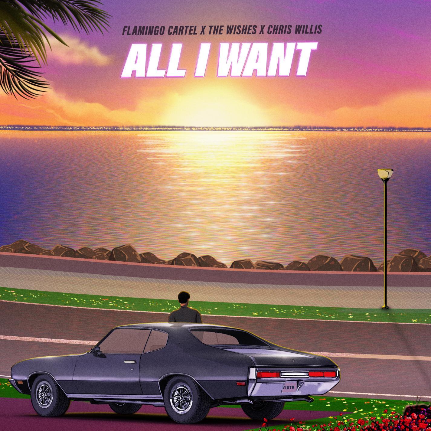 All I Want (Flamingo Cartel Mix)