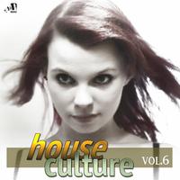 House Culture, Vol. 6