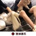 金玉良缘 (男生版)封面