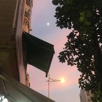 顾子欣
