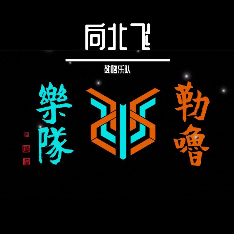 向北飞封面