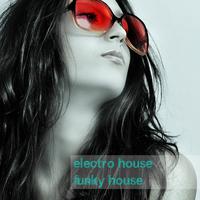 Electro House Funky House