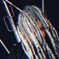 Plague_tsc