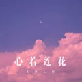 爱不留 (Remix)封面