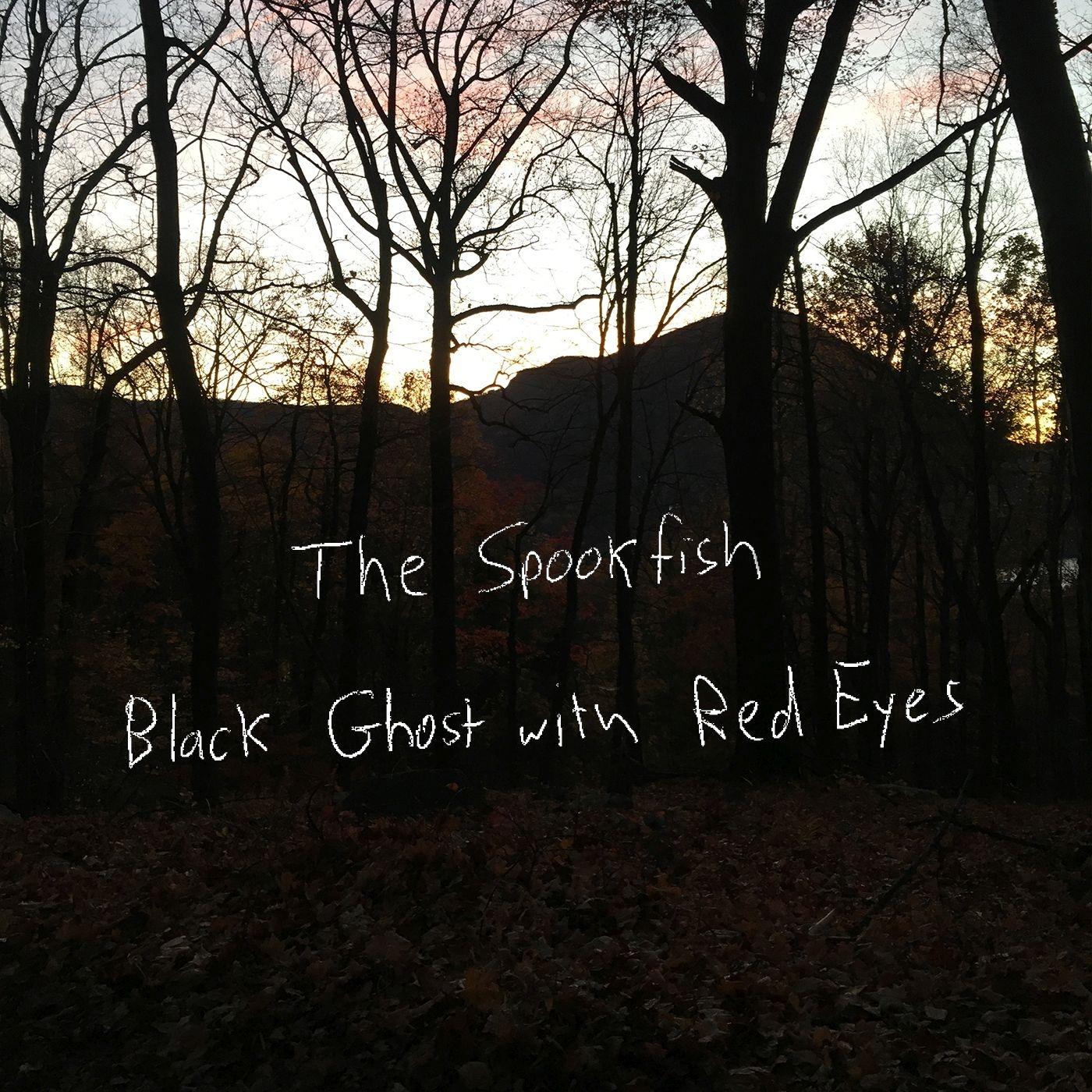 Black Ghost with Red Eyes