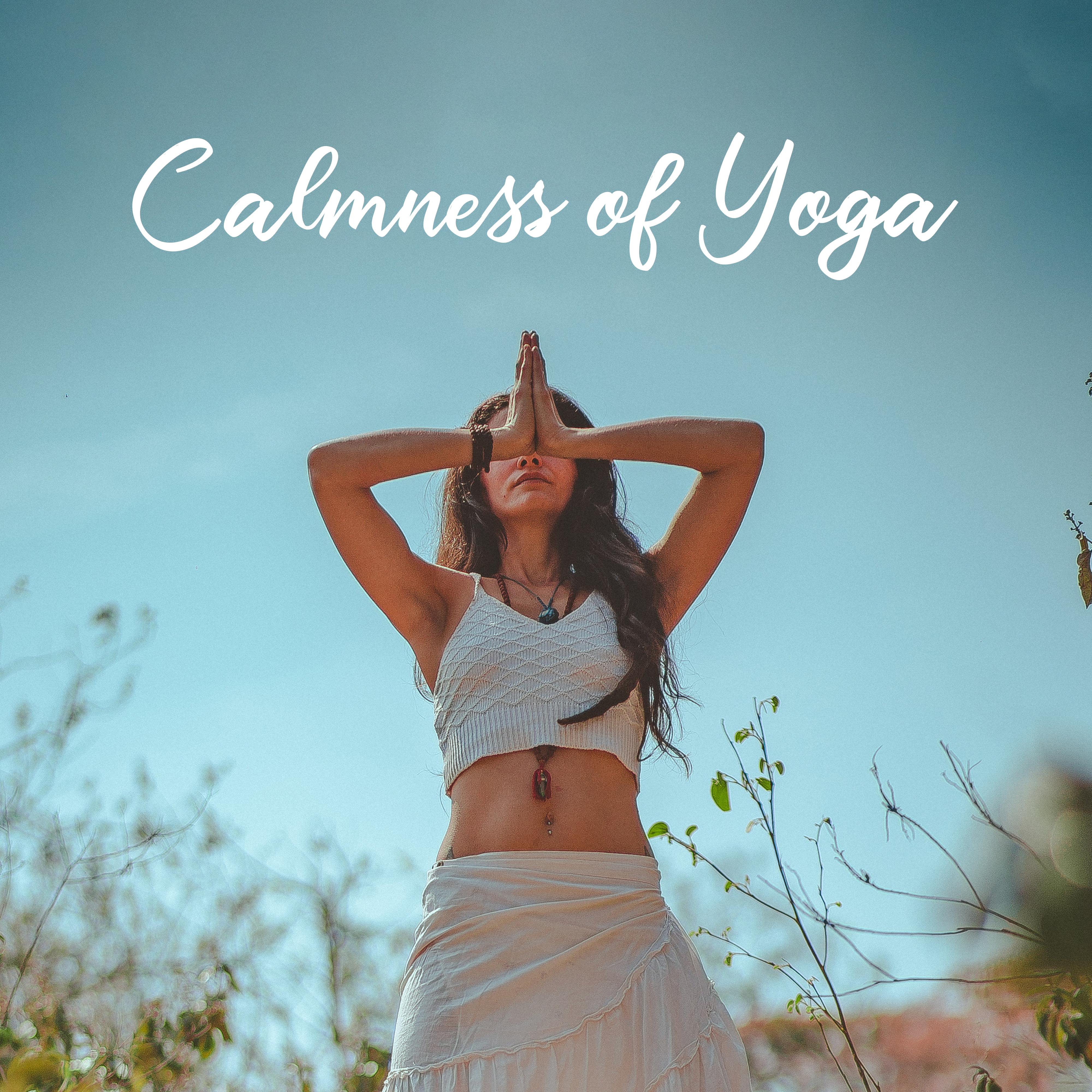Care and Love_New Age_Calmness of Yoga: New Age 2019 Music for Meditation & Relaxation, Calm Down Bad Emotions, Find Your Inner Harmony, Increase Life Energy, Balance Body & Mind | 在线播放_Care and Love歌词_Care and Love下载 | 网易云音乐