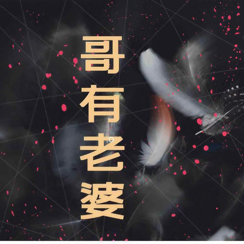 哥有老婆 (变速版)封面