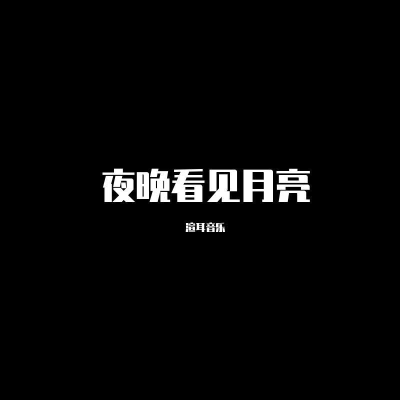 追月亮的人（DJ版）封面
