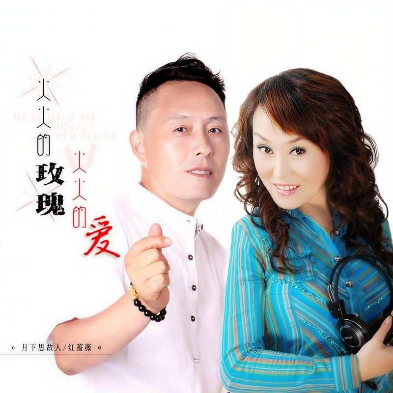 火火的玫瑰火火的爱 (DJ彭洋版)封面