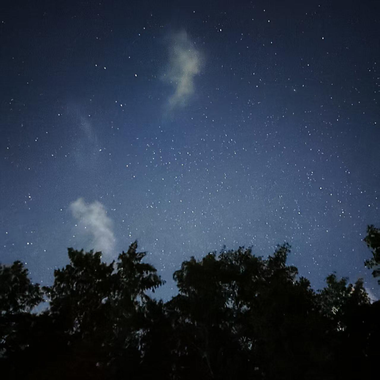 晚星封面